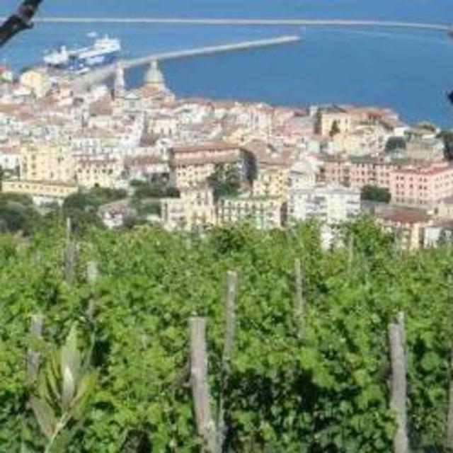 Wine tasting at Le Vigne di Raito