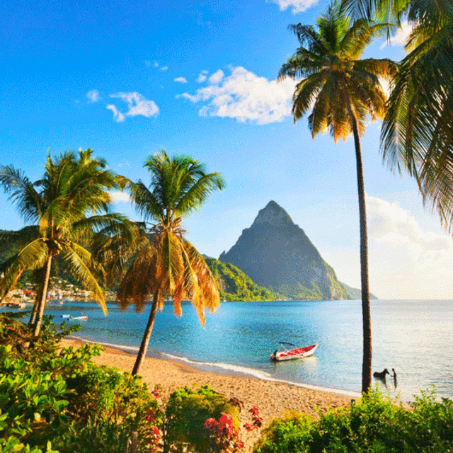 Round Trip Plane Tickets For Our Honeymoon In St. Lucia!!