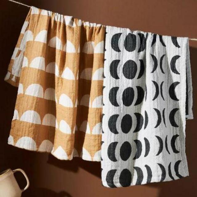 Orion Dish Towels, Set of 2