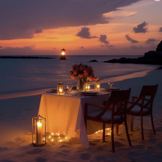 A Special Dinner For Two On Our Honeymoon