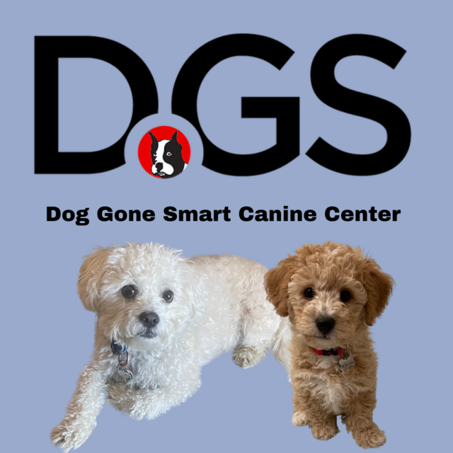 Doggy Daycare and Training