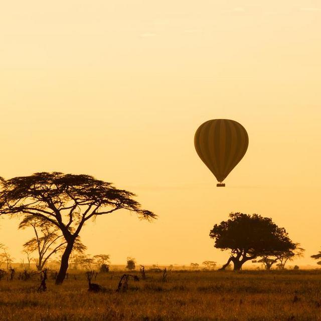 Balloon Safari in the Serengeti National Park