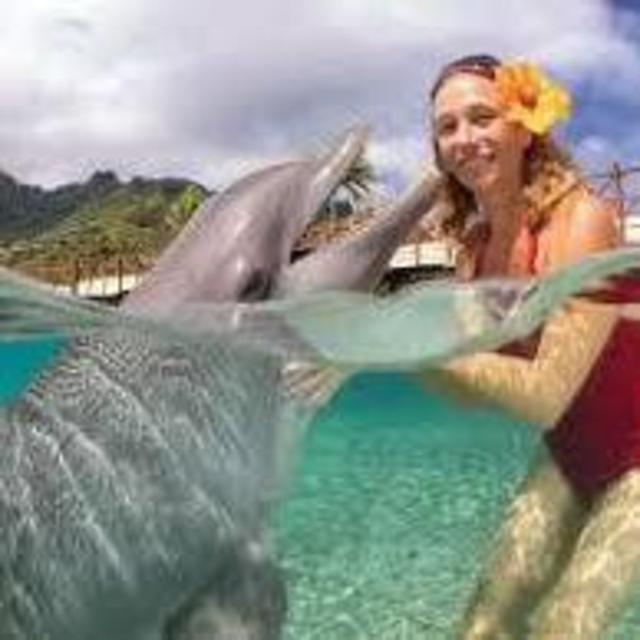 Meet & Greet with Dolphins