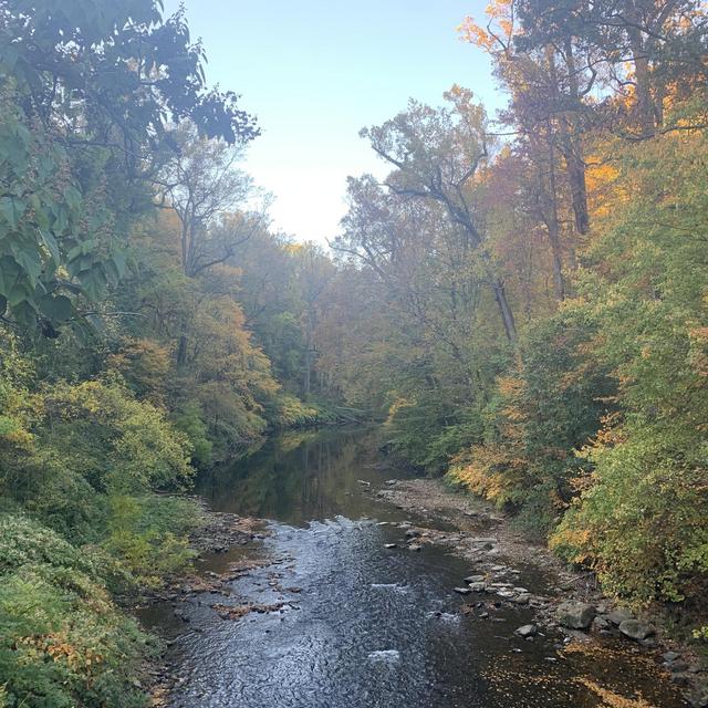 Friends of the Wissahickon