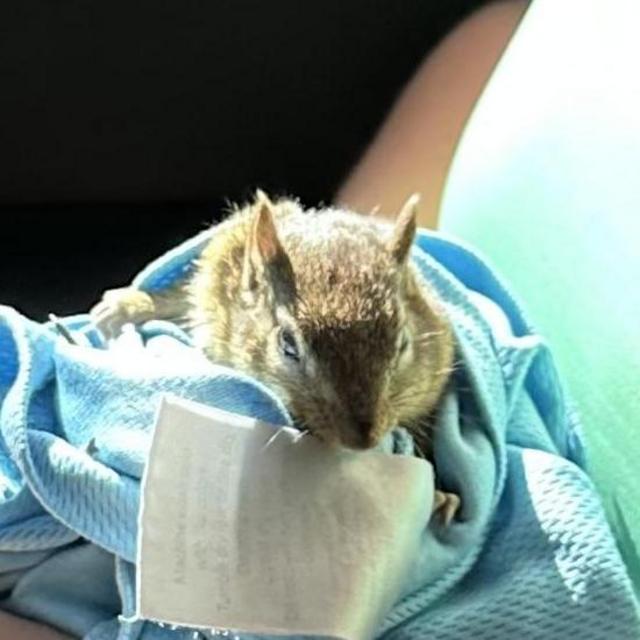 Schuylkill Center Wildlife Clinic