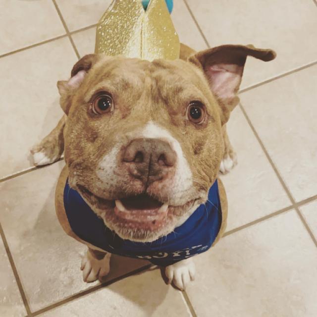 Pet Hotel for Zeke, while Mom and Dad are away