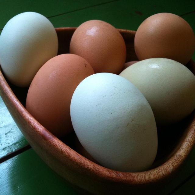 Lexington Community Supported Agriculture (CSA)