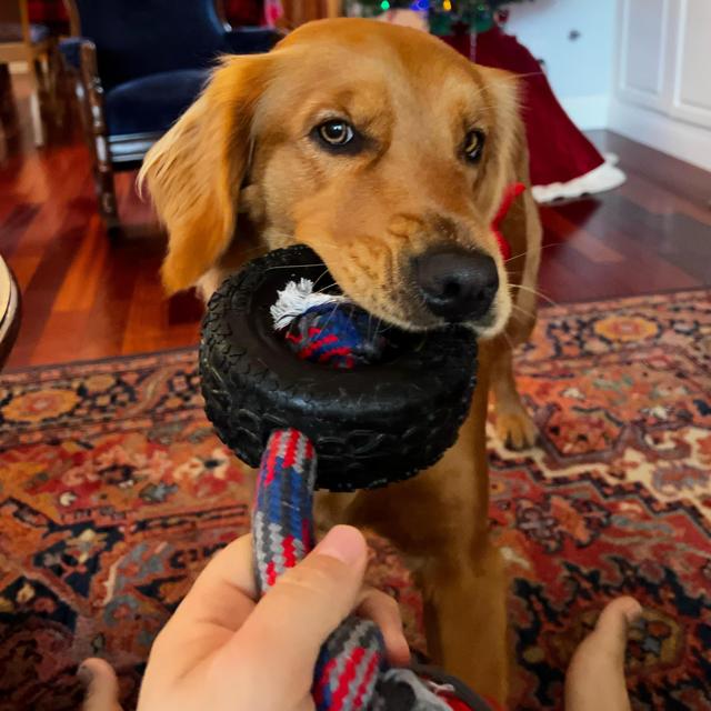 Toy Trip for Ruby