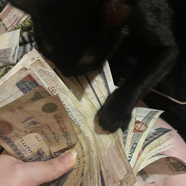 Lingling moving fee