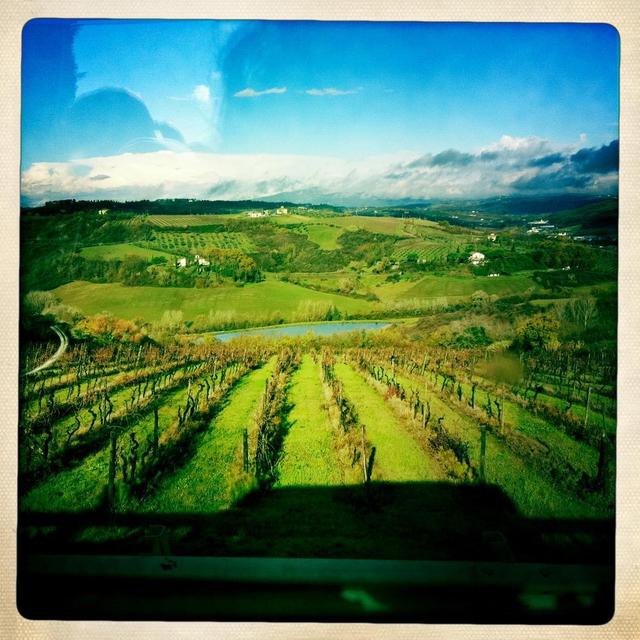 Chianti Day Trip