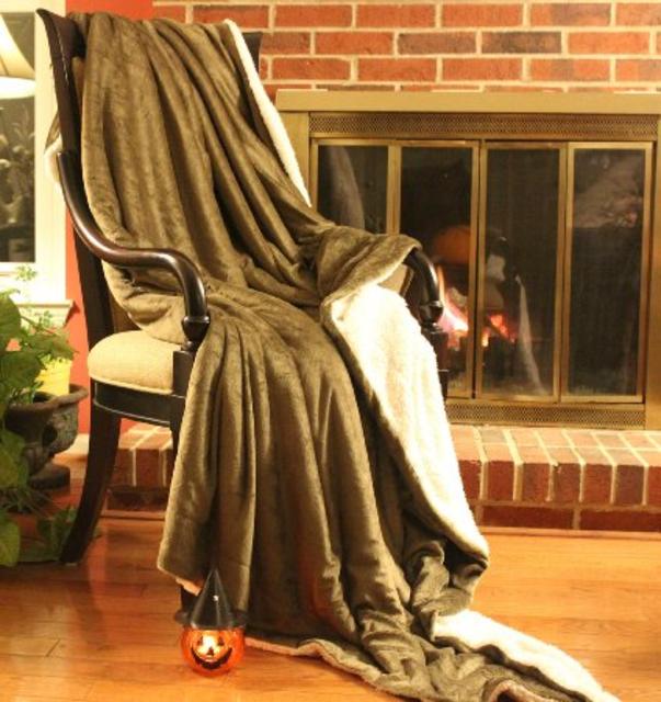 Tache Green and White Soft Evergreen Micro Fleece Sherpa Throw Blanket 63" X 87"