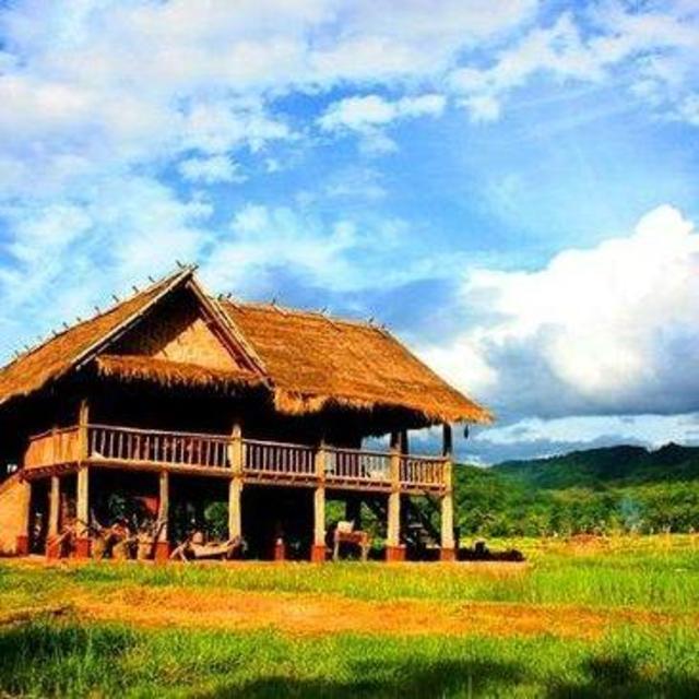 "Living Land" Rice Farm Tour in Luang Prabang