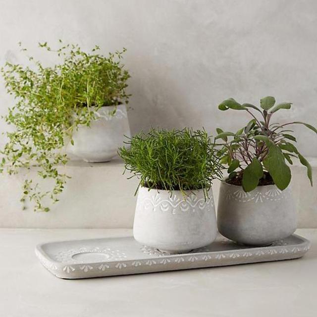 Netara Planter - Set of 3 Herb Pots