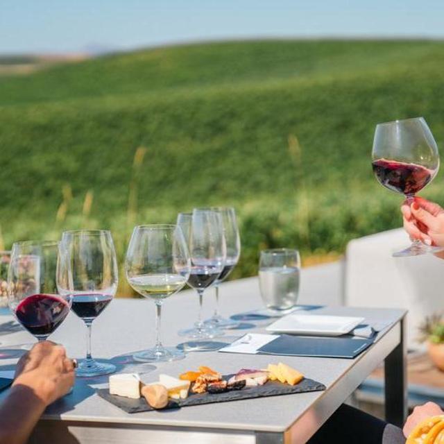 Wine Tasting on our Honeymoon