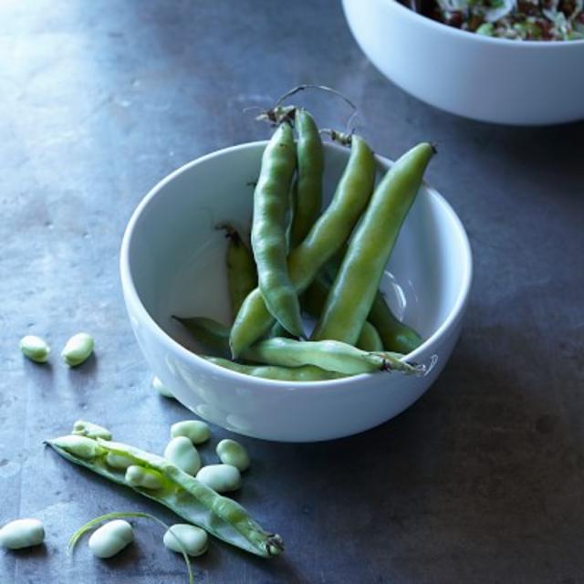Williams-Sonoma Open Kitchen Serve Bowl