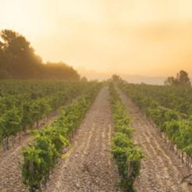 Romantic Wine Country Tour in Spain