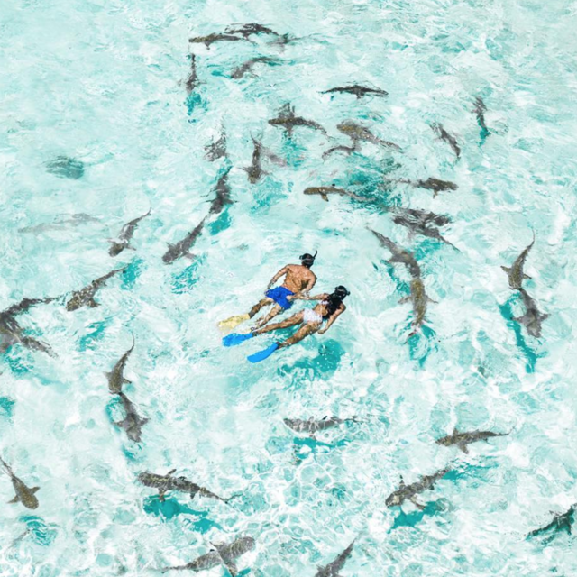 Snorkeling For Two