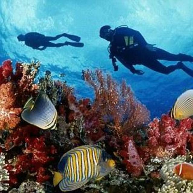 Scuba Diving Lessons