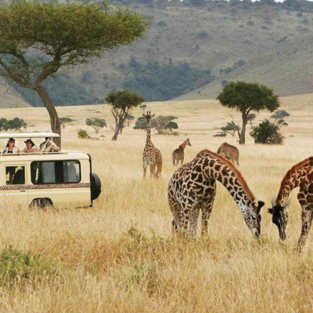 Safari Fund