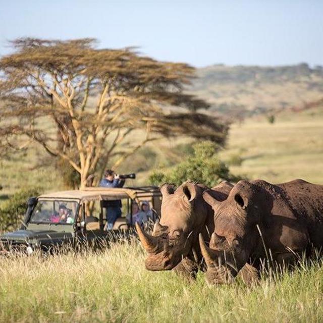 Ol Pejeta Conservancy Black Rhino Safari