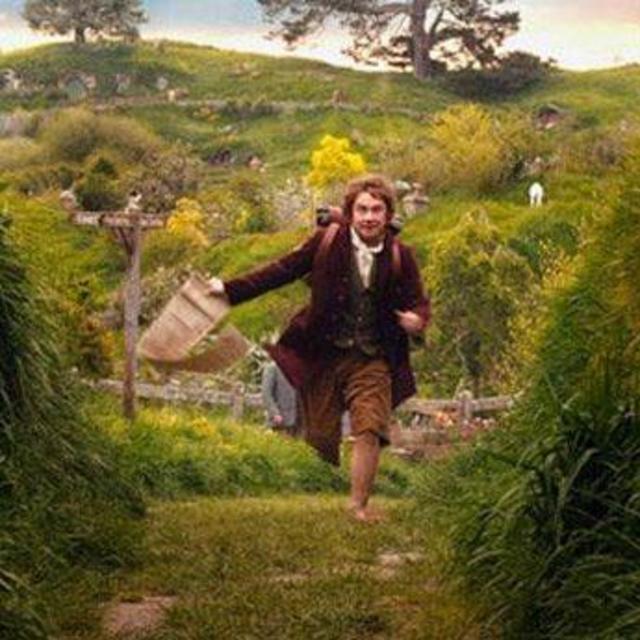 Hobbiton Movie Set Tour