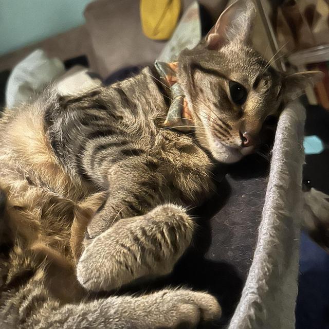 Buying a gift for Edward