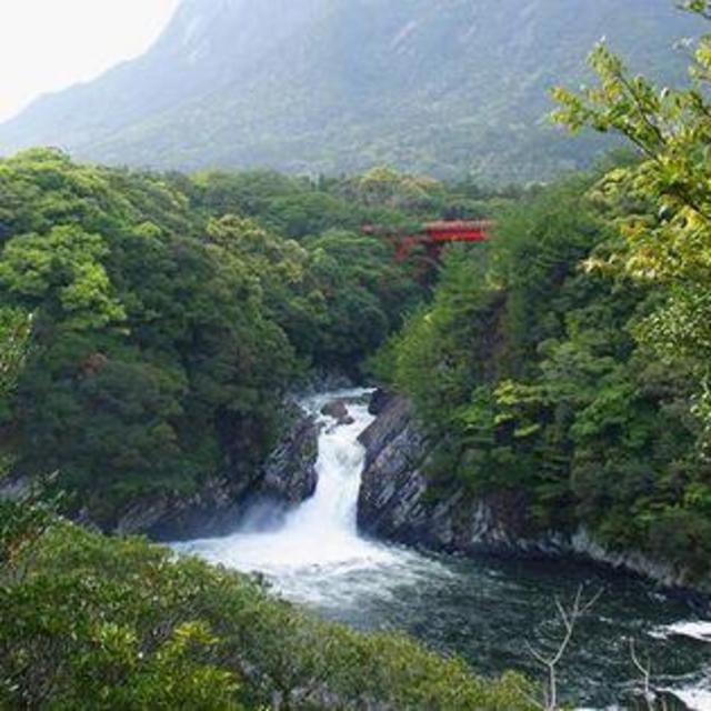 Sea Kayaking to Toroki Waterfall in Yakushima