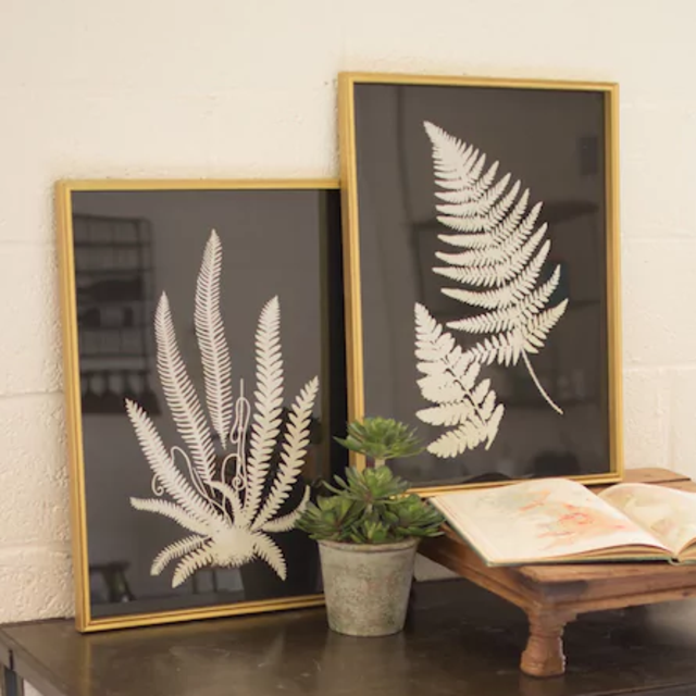 Black and White Fern Prints Under Glass (Set of 2)