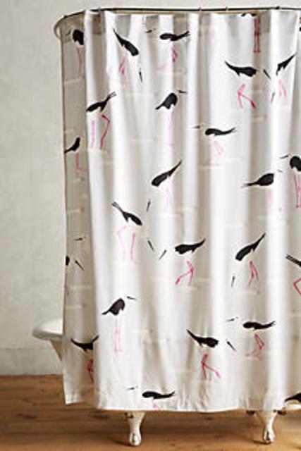 Beach Gull Shower Curtain