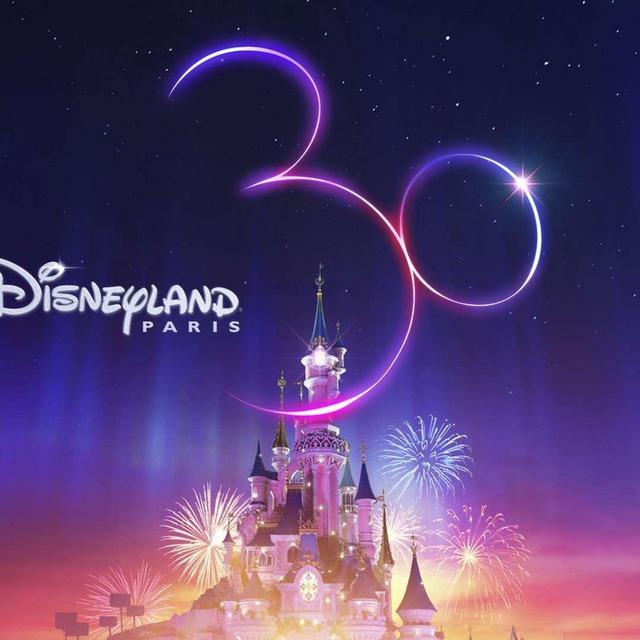 Disneyland Paris Honeymoon Fund