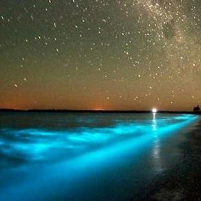 Honeymoon Bioluminescent Tour