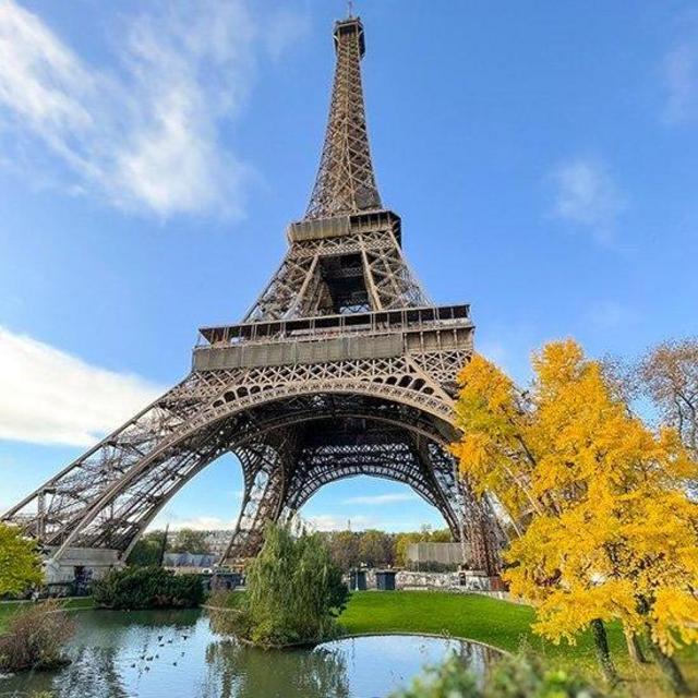 Eiffel Tower Entry with Top View
