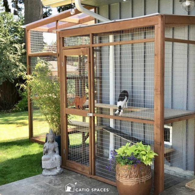 Arlo's Catio Fund