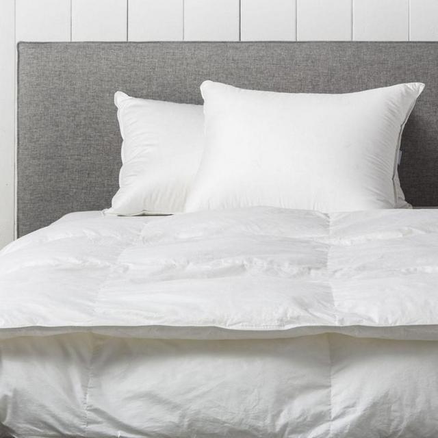 Down Duvet Insert