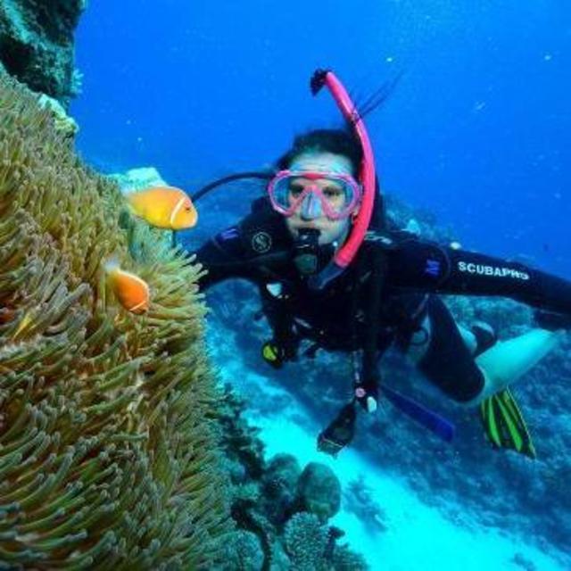 Scuba Diving on the Great Barrier Reef