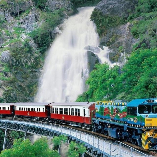 Kuranda National park day tour