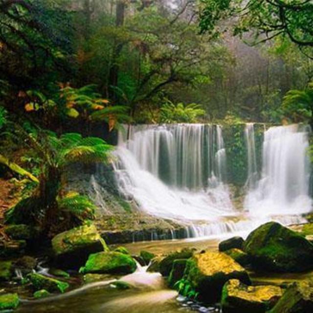 Road trip to Daintree rainforest