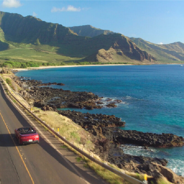Car Rental