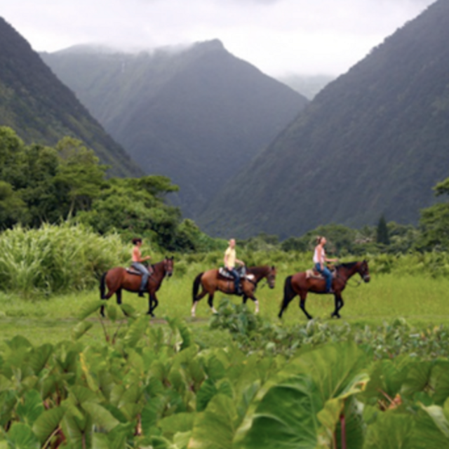 Horseback Riding Tour