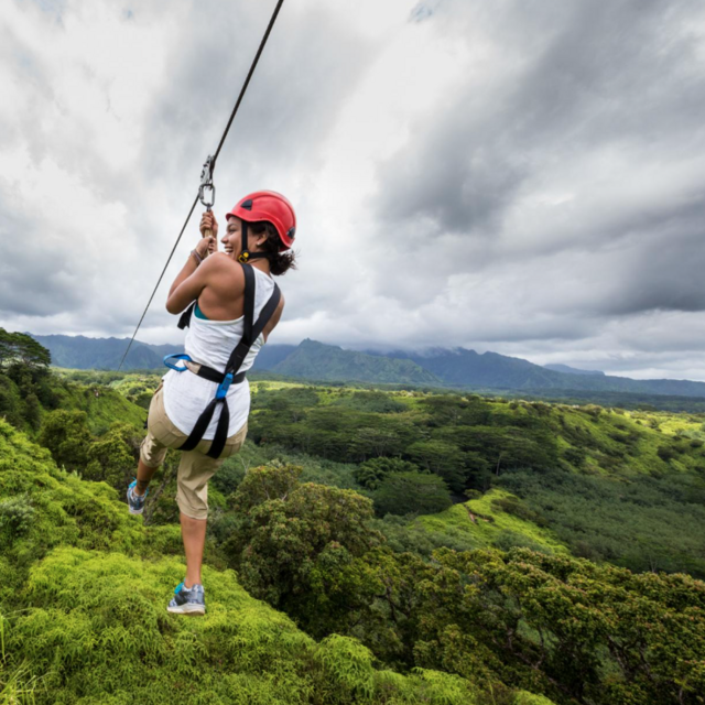 Zip Line Adventure