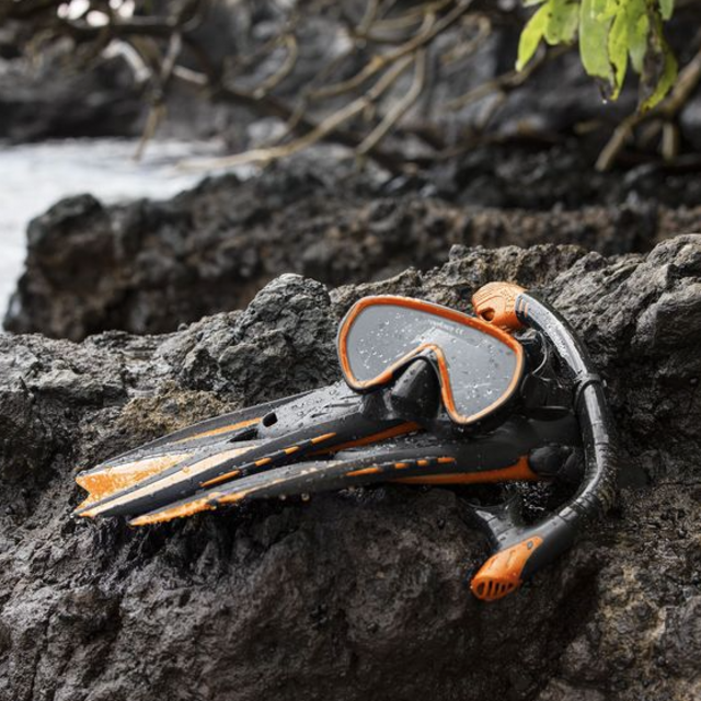 Honeymoon Snorkeling
