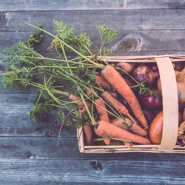 Start A Vegetable Garden