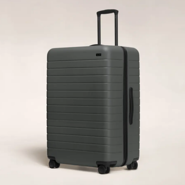 Away Checked Bag, The Large
