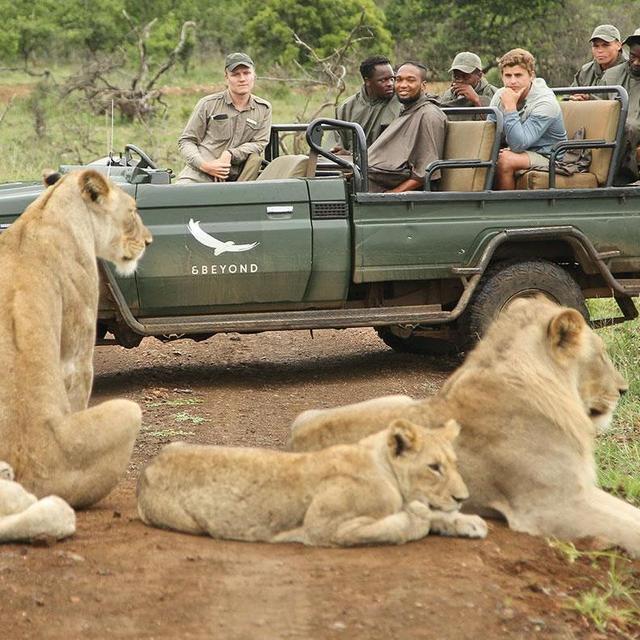 South African Safari