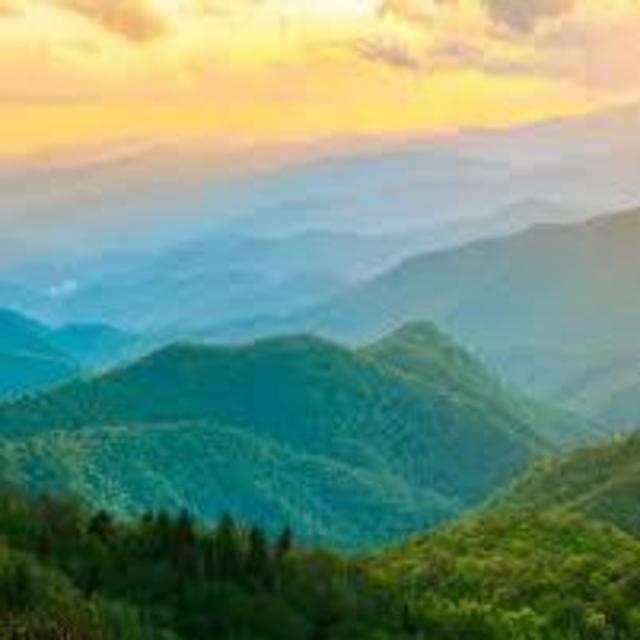 Donate to BeLoved Asheville