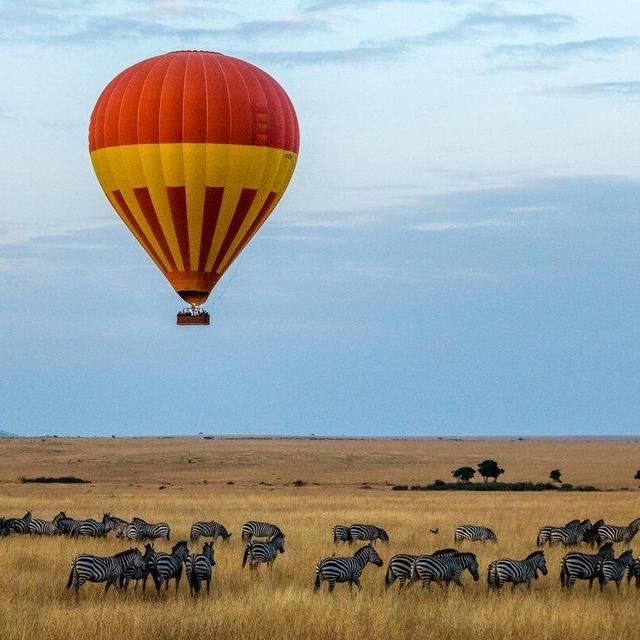 Safari Hot Air Balloon