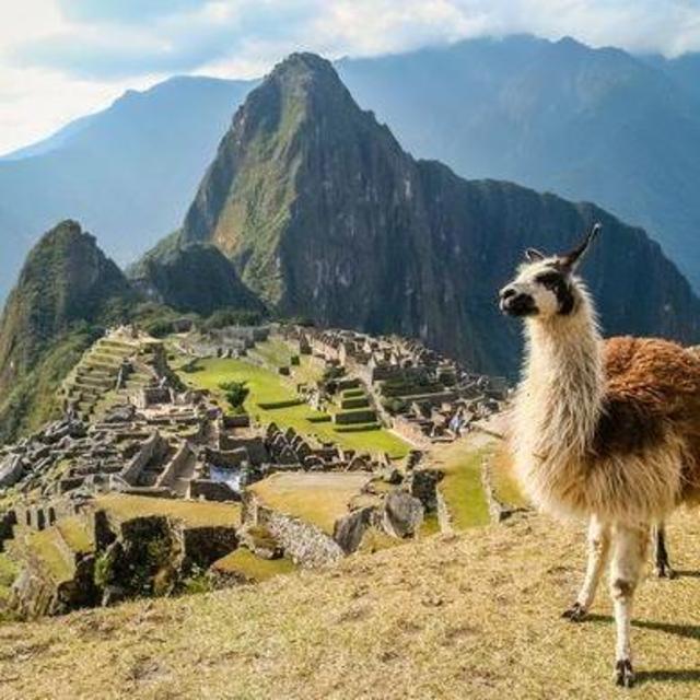 Machu Picchu Excursion for 2