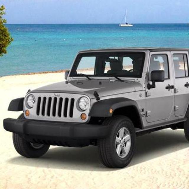 Help Us Find Sea Turtles (Vehicle Rentals)