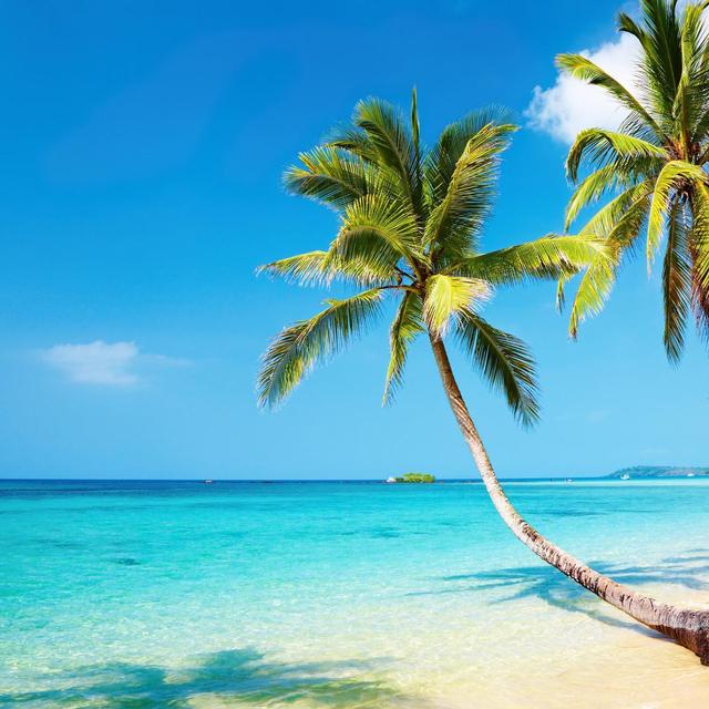 Honeymoon Hotel in Fiji