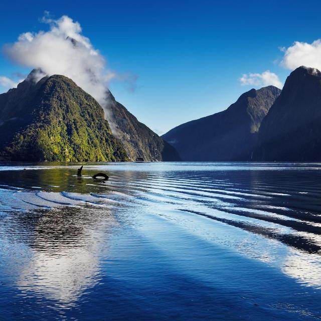 Honeymoon Hotel in New Zealand